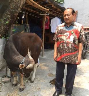 Penyerahan Hewan Qurban di Masjid Al Jihad